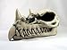 Dragon Skull Large Bone Finish Sculpture By Design Clinic