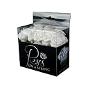 Fortune Products ROSE-100W Roses on a String Light, 10' Length, Cool White Lights (Single Strand)