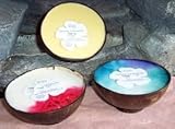 IMAGE OF Hawaiian Coconut Bowl Candle Mango Scented