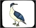Decorated Mouse Pad with feet, hawk, duck, webbed, bird, black