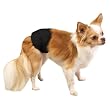 Clean Go Pet Cotton/Polyester Male K-9 Pet Wrap, X-Small, Black