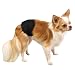 Clean Go Pet Cotton/Polyester Male K-9 Pet Wrap, Small, Black