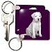 Dogs Argentine Dogo - Argentine Dogo Puppy - Key Chains