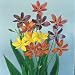 Belamcanda Seeds: Leopard Lily Mixed Colors