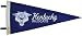 Kentucky Wildcats NCAA College Vault Chennile Pennant