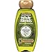Garnier Whole Blends Legendary Olive Replenishing Shampoo 12.5 oz