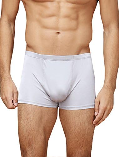 New Silk Men's 100% Mulberry Silk Boxer Briefs (Large, Silver-grey)