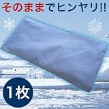 石川絹織 IceBody ミニ枕 1枚(アイスピロー)