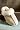 UGG Australia Women's Scuffette Slippers Footwear Sand Size 5