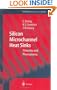 Silicon Microchannel Heat Sinks: Theories and Phenomena (Microtechnology and MEMS)