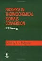 Progress in Thermochemical Biomass Conversion