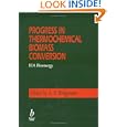 Progress in Thermochemical Biomass Conversion'