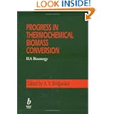 Progress in Thermochemical Biomass Conversion'