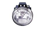 DODGE VAN/PU/SUV RAM PICK-UP (OLD TYPE) FOG LIGHT (INTERCHANGABLE SIDES)(WITH SPORT) 1999-2002