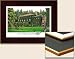 Collegiate- Western Washington University Laminated Lithograph
