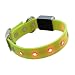 Kitchen & Housewares : LED dog collar neon yellow L 42-51cm