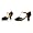 Lucille Black Adult Shoes Adult (6)