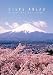 Steps Ahead - At Mount Fuji Jazz Festival