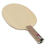 Gewo Hybrid Carbon X/Speed Off, anato...