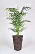 Artificial 5 1/2 Ft. Double Areca Palm