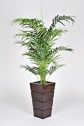 Artificial 5 1/2 Ft. Double Areca Palm