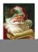 Garden Flag Santa's List
