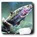 Fishing - Rainbow Trout - Mouse Pads