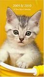 Kitten Kaboodle 2009 Calendar