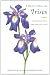 A Guide to Species Irises: Their Identification and Cultivation