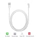 Cablex(TM)6Pack 3FT Lightning to 8 Pin USB Charging Cable Cord Syncing and Charging for iPhone 6/6s/6 plus/6s plus, 5c/5s/5/SE, iPad Air/Mini, iPod Nano/Touch