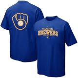 Nike Milwaukee Brewers Royal Blue Everyday T-shirt