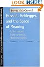 Husserl, Heidegger...