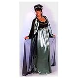 Women Medium (10-12) - Lady Marian Deluxe Renaissance Costume - Shakespeare In Love Costume