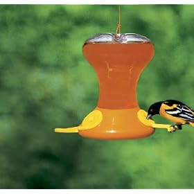 Fliteline Junior 30 Oz. Oriole by 