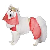 Harem Dog Costume (Small)