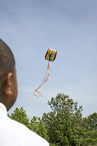 El Rey: 5.0 Tie-Dye Parafoil Pouch Kite with 130-feet #30 Kite Flying Line