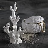 Sea Urchin Jewelry Box
