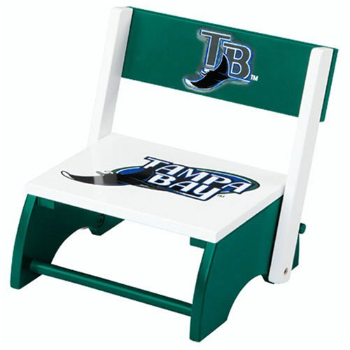 Childrens Toyshop  Toys : Tampa Bay Devil Rays Flip-Up Step-Up by Guidecraft