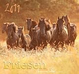 Friesen 2011 Kalender