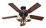 FactoryReconditioned Hunter