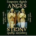 Anges Angels