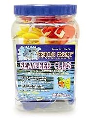South Ocean Five Nutrition Seaweed Clip Jar 36Pc