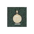 College Of Charleston Seal Charm/Pendant -14K/10K, Stainless Steel or Gold Plated