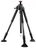 Vanguard Auctus Plus 283CT Tripod 339168
