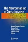 Neuroimaging of Consciousness