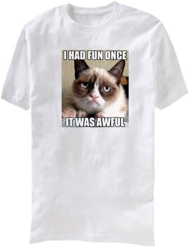 Grumpy Cat I Had Fun Once, It Was Awful Mens Shirt (White, 2X-Large)
