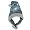 Philadelphia Eagles