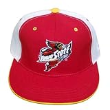 NCAA FITTED CAP HAT FLAT BILL IOWA STATE CYCLONES 7 1/4