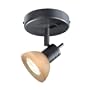 Single Spot Light Finish: Dark Bronze