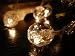 Crystal Clear Warm White LED String Lights; LED Christmas Lights; Party Lights